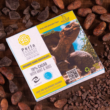 Barra de menta con nibs al 70% cacao